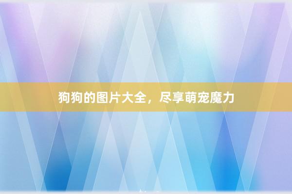 狗狗的图片大全,尽享萌宠魔力