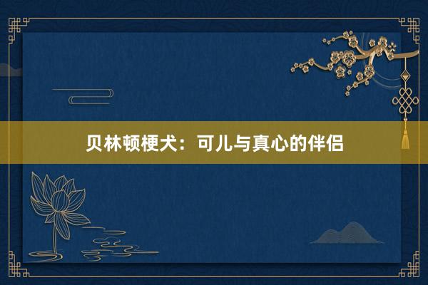贝林顿梗犬：可儿与真心的伴侣