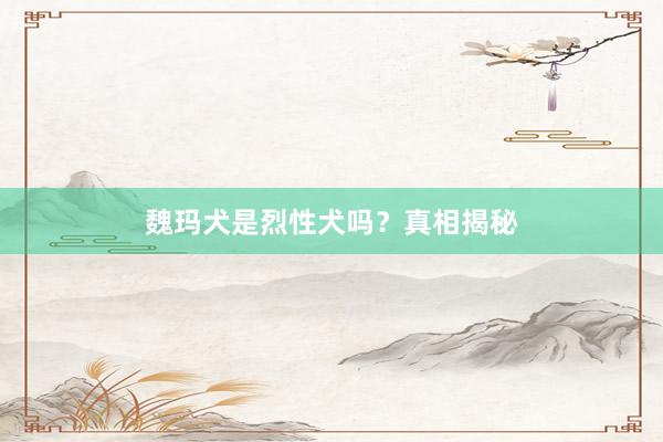魏玛犬是烈性犬吗?真相揭秘